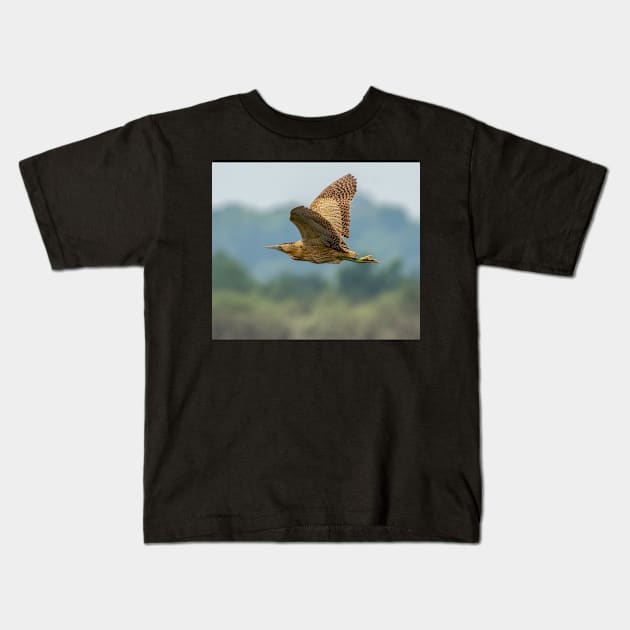 A bittern in flight in the UK Kids T-Shirt by Itsgrimupnorth